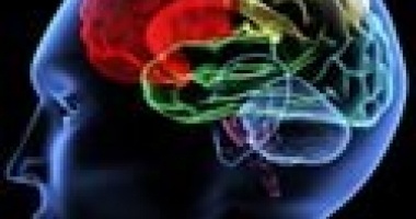 Notre cerveau sous hypnose